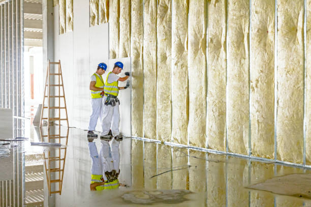 Best Insulation Replacement  in USA